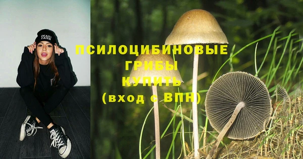 СК Заволжье