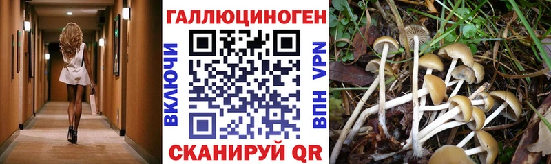 Псилоцибиновые грибы мухоморы  Купить где  Мелеуз 